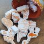 Tampons mousse enfant Savane - Stampo Funny