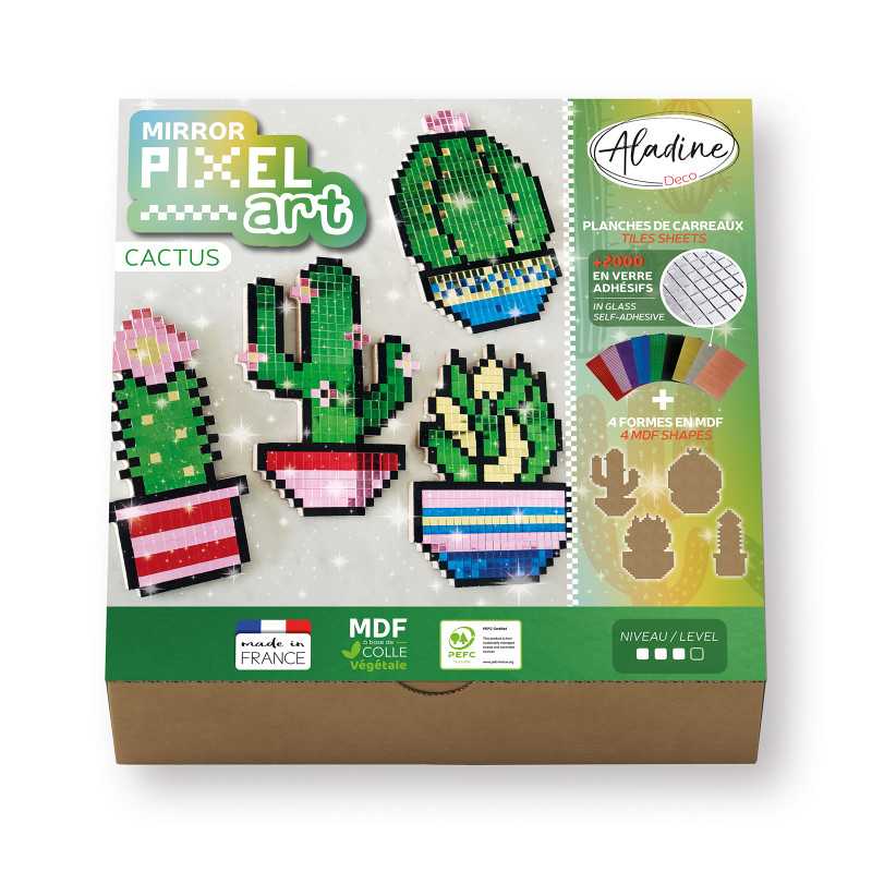 Mirror Pixel Art Cactus | Décorez-moi