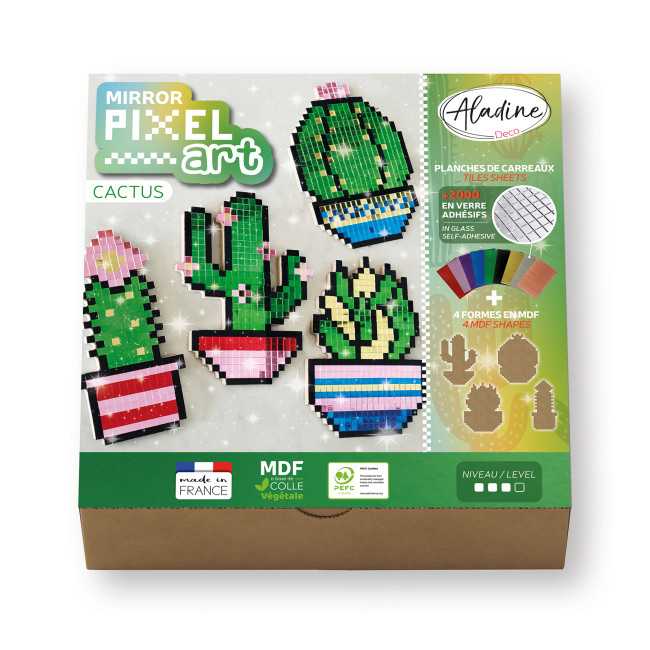 Mirror Pixel Art Cactus
