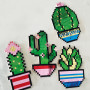Mirror Pixel Art Cactus