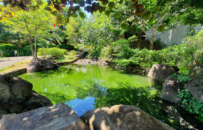 jardin botanique du parc de Yokohama séjour au Japon