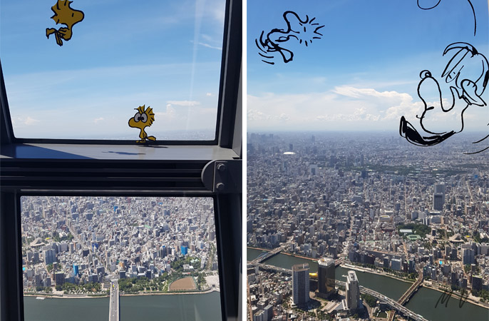 visite de la Skytree Tower durant mon séjour au Japon